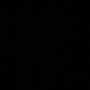 Meet your Posher, Laurie